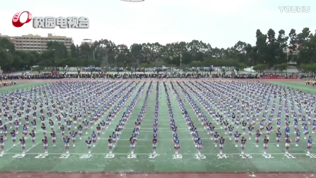 43.png